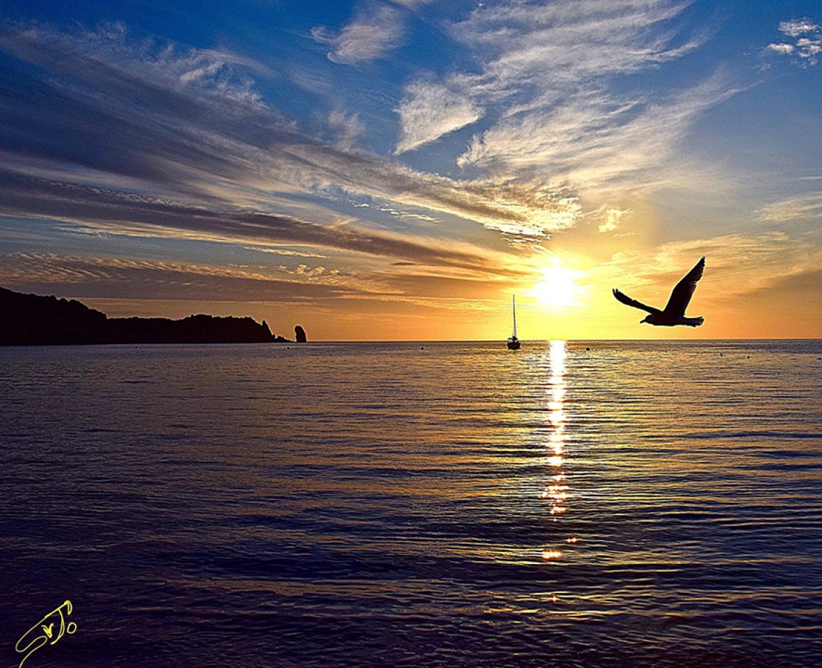 Tramonto Giglio Campese